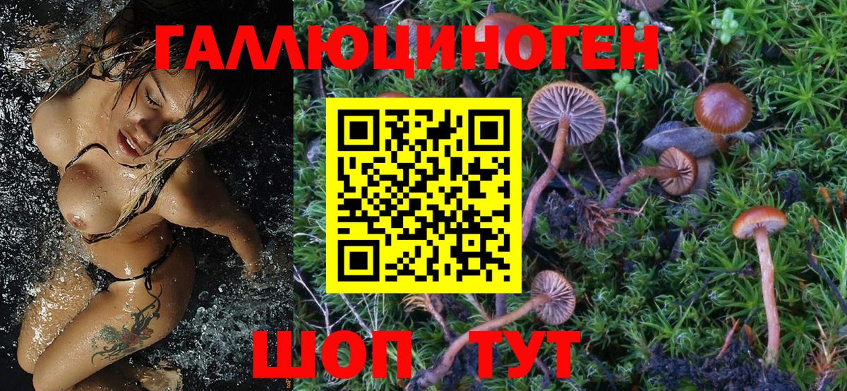 Псилоцибиновые грибы Magic Shrooms Бутурлиновка