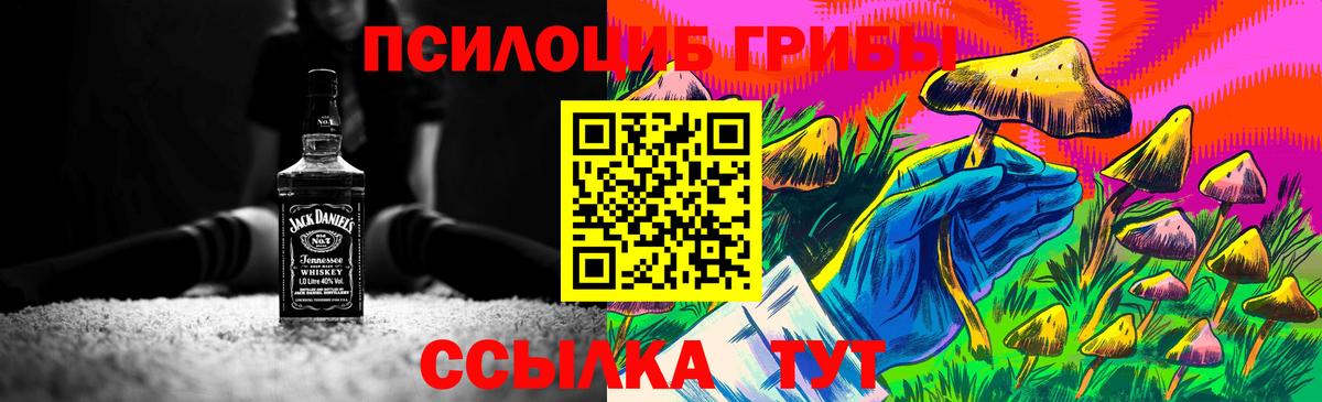 Галлюциногенные грибы мицелий  Вход с VPN  Бутурлиновка 